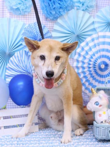 20231108ライトくん